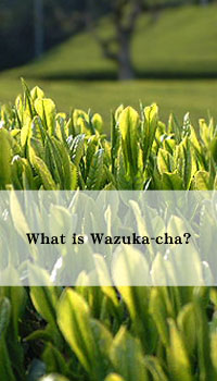What is Wazuka-cha?