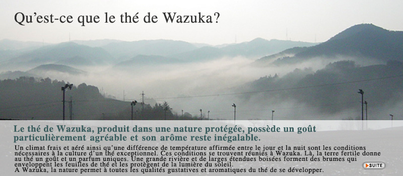 Qu'st-ce que le thé de Wazuka?